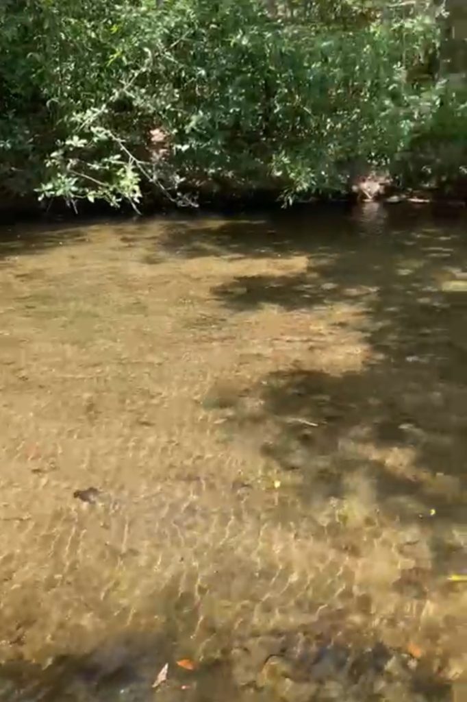 Terreno San Carlos – Carretera Interamericana Terreno San Carlos – Carretera Interamericana