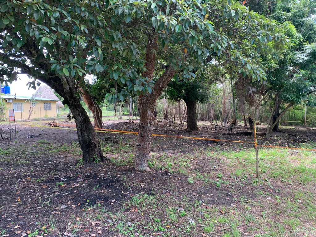 TERRENO EN EL HIGO DE SAN CARLOS