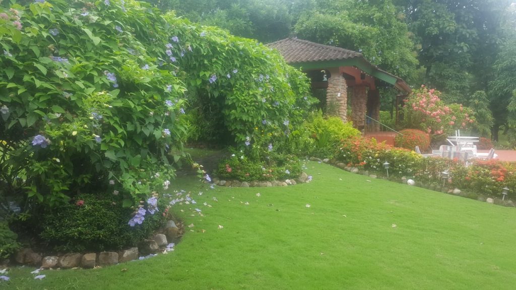 FINCA EN PUNTA BARCO