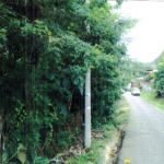 TERRENO DE UNA HECTAREA – LAS CUMBRES TERRENO DE UNA HECTAREA – LAS CUMBRES