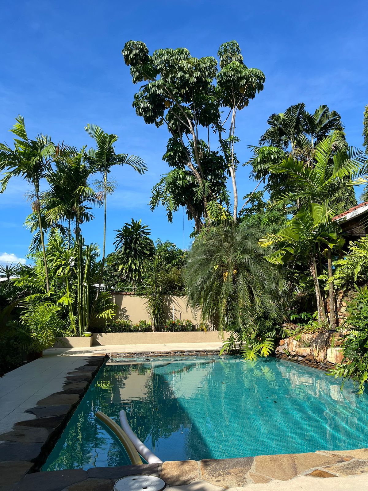 CASA UNIFAMILIAR EN LA LOMA CASA UNIFAMILIAR EN LA LOMA