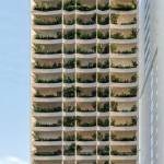 AUREA – A19 CINCUENTENARIO – COCO DEL MAR